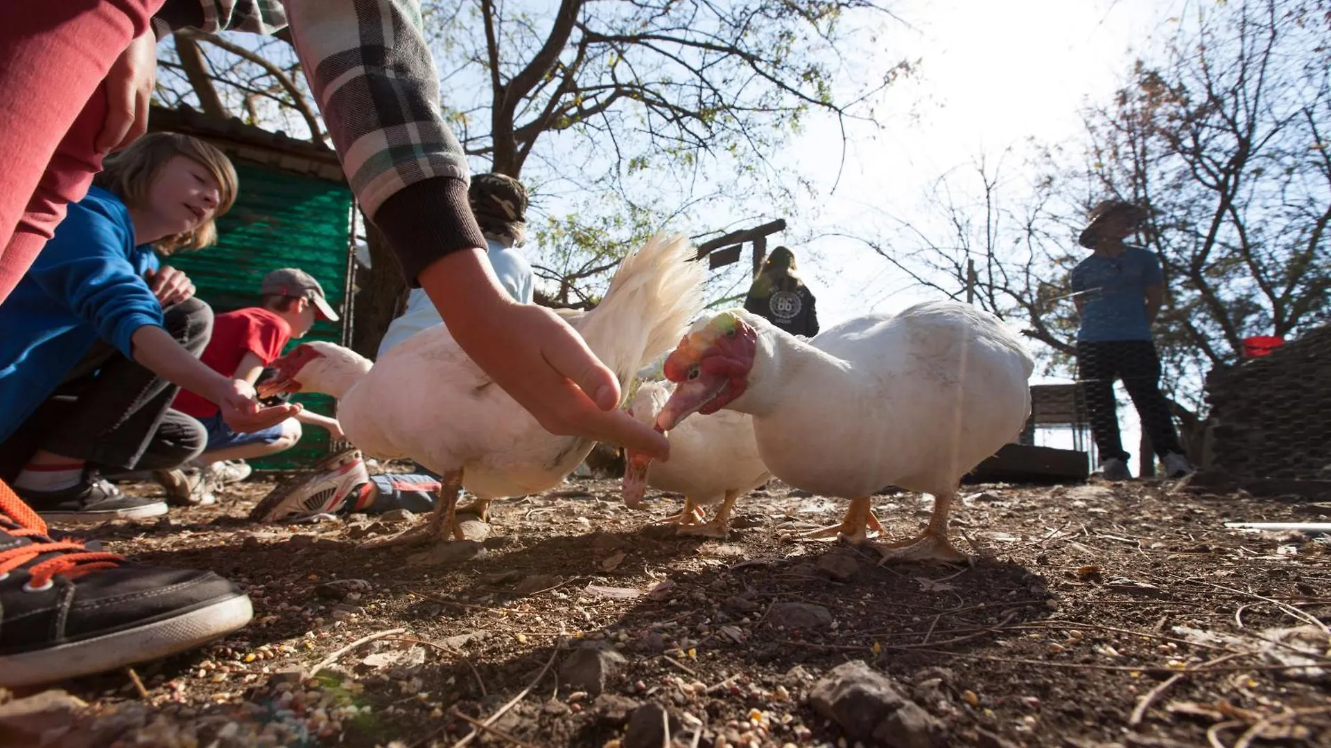Bestbrook Mountain Farmstay Maryvale 0*,  Australia