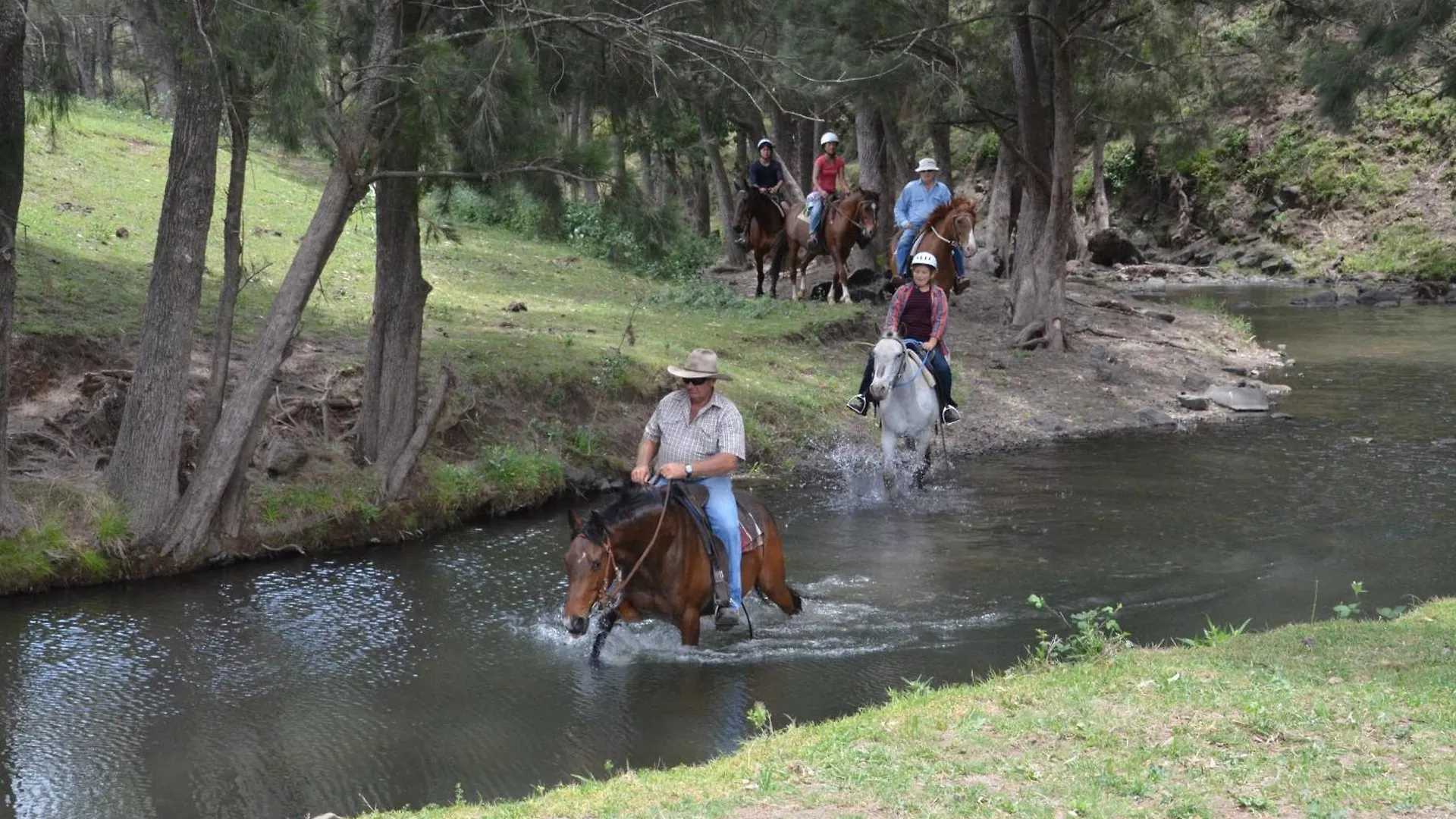 Farm stay Bestbrook Mountain Farmstay Maryvale