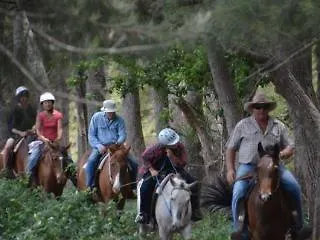 Farm stay Bestbrook Mountain Farmstay Maryvale