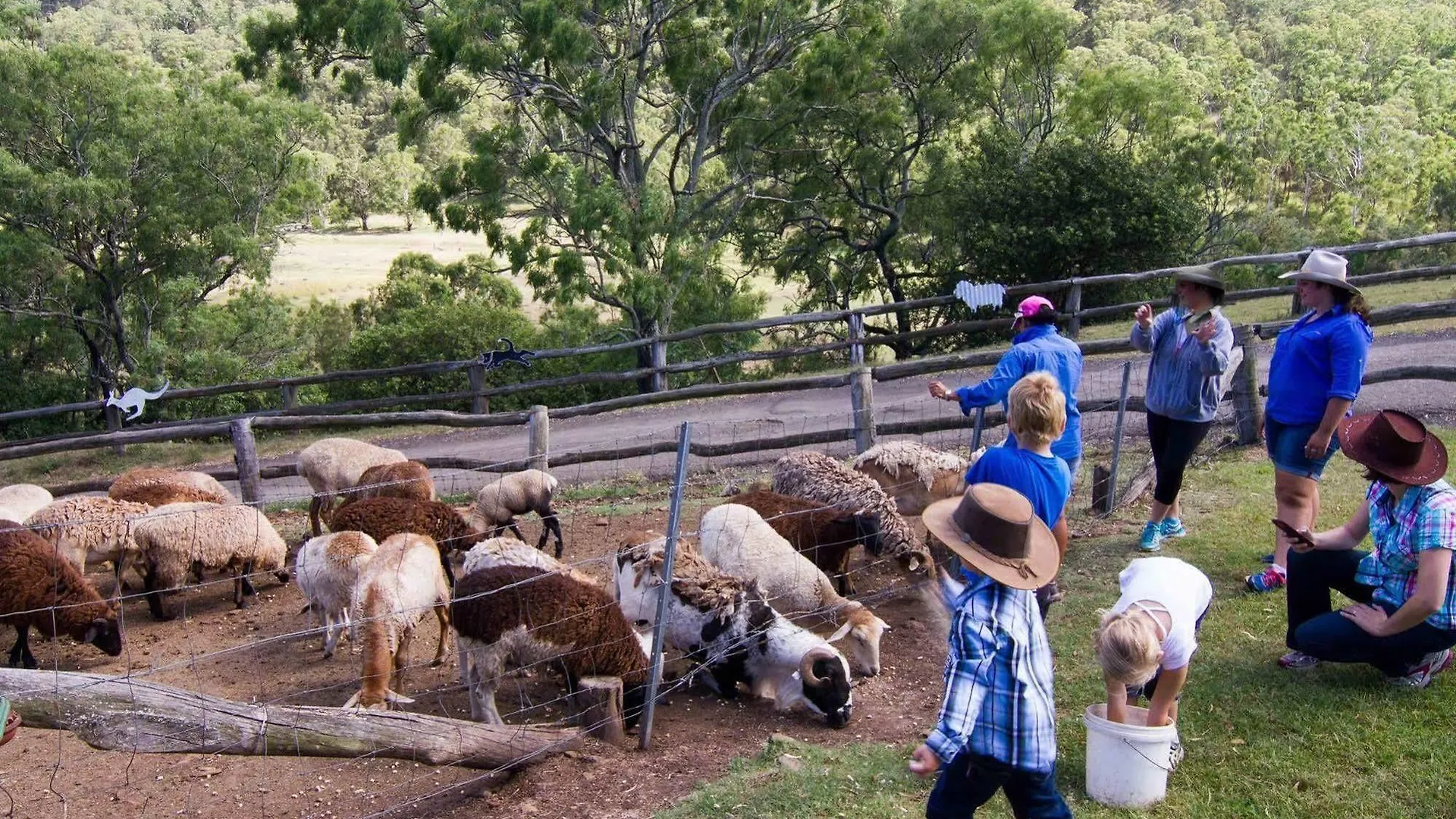 Farm stay Bestbrook Mountain Farmstay Maryvale