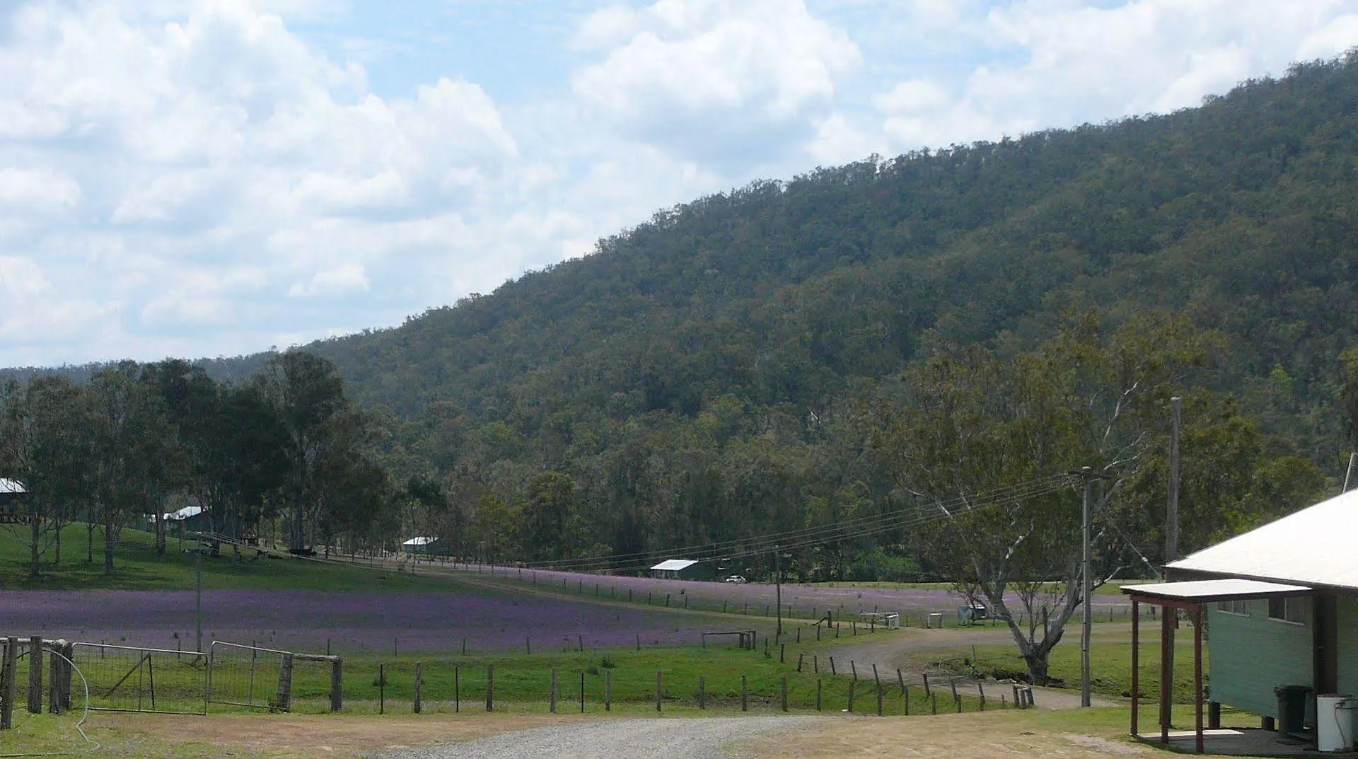 Bestbrook Mountain Farmstay Maryvale Farm stay